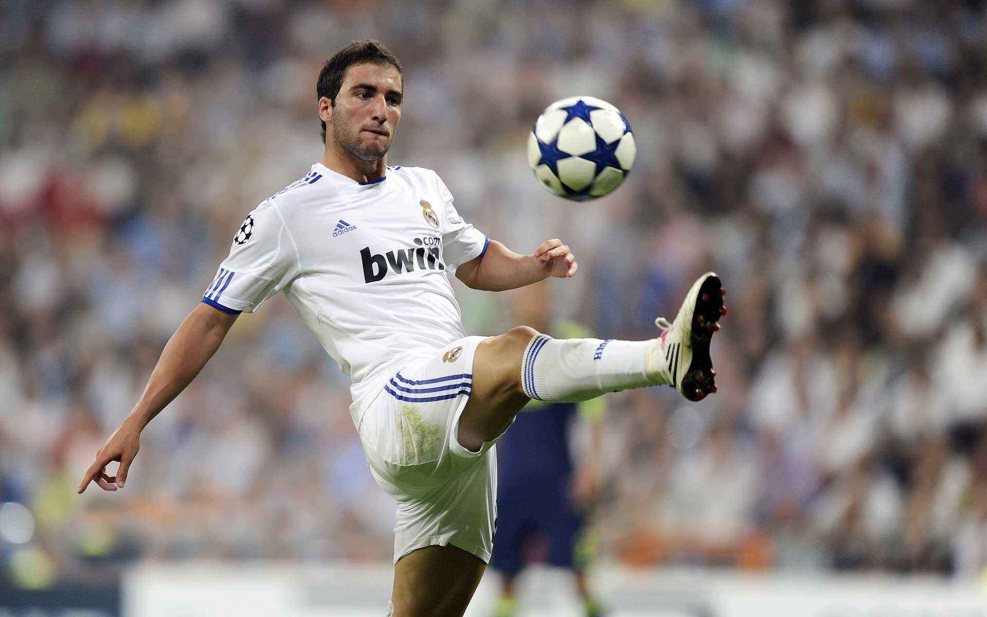 约书亚·爱德华兹：迈向成为美国下一个伟大的重量级拳击手，爱德华·约翰逊三世