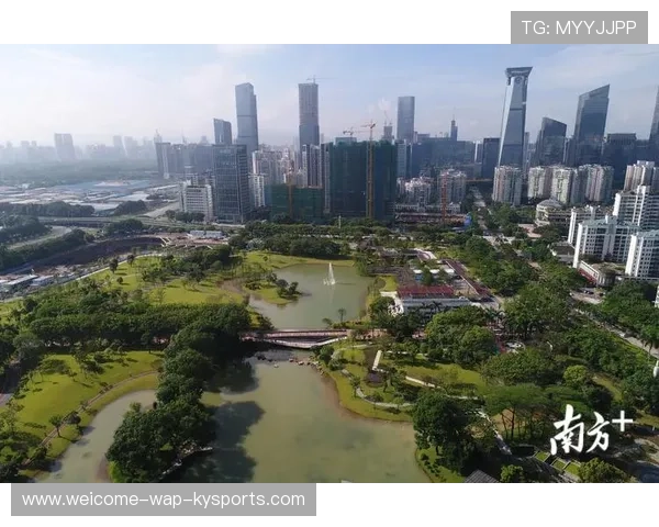 纽卡斯尔：推动青训与本地教育深度融合的未来蓝图