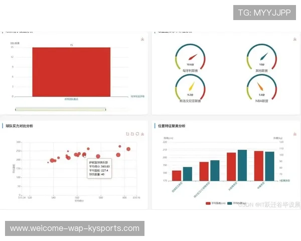 篮球联赛商业赞助收益数据分析